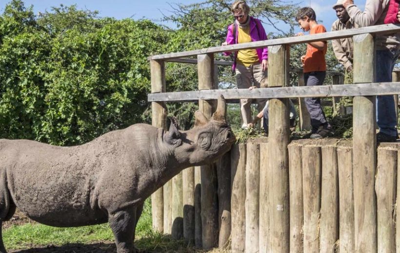 RHINO TOURIST CAMP