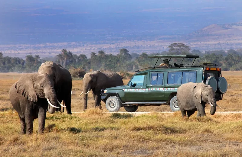SAFARIS MASAI MARA