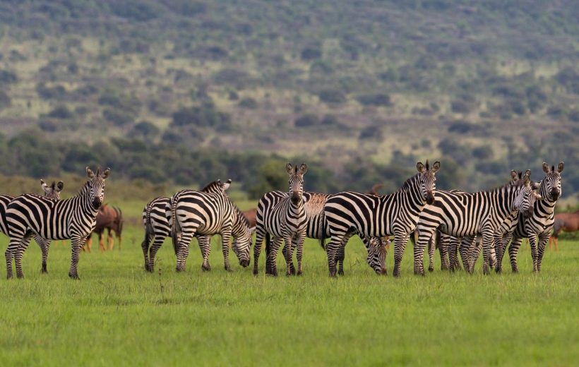 AKAGERA NATIONAL PARK