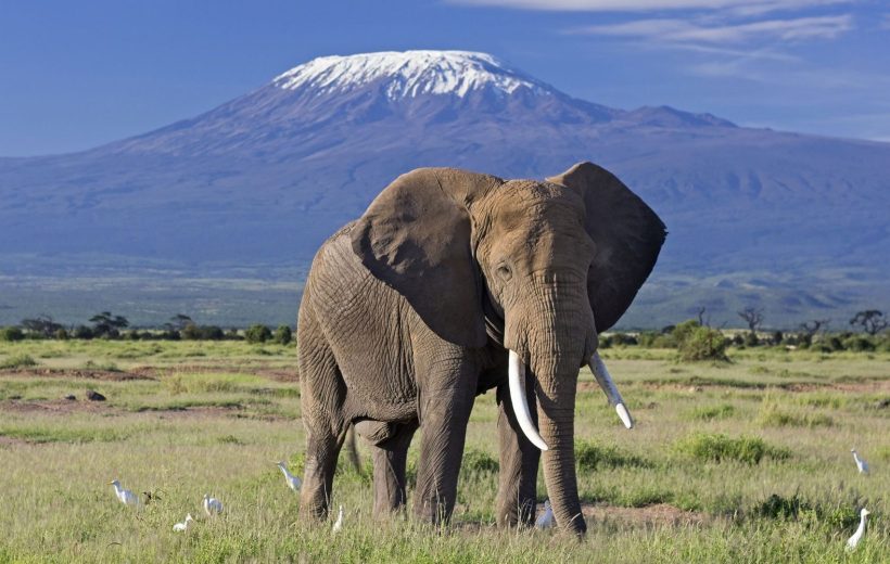 AMBOSELI NATIONAL PARK