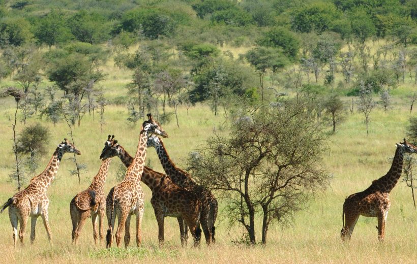 CHYULU HILLS NATIONAL PARK