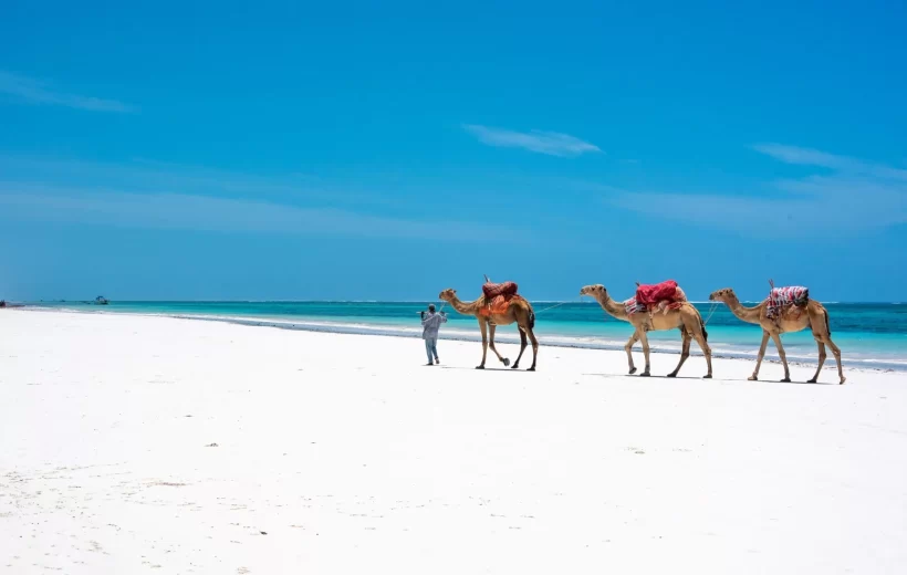 DIANI BEACH