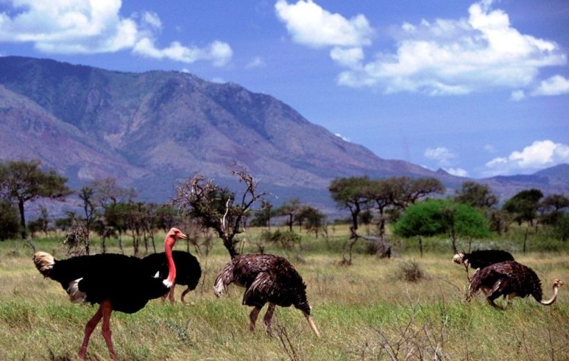 KIDEPO VALLEY