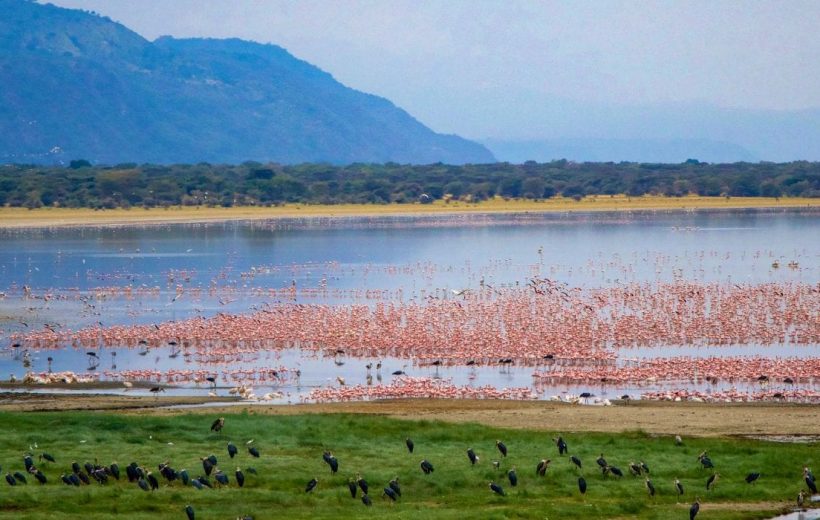 LAKE MANYARA NATIONAL PARK