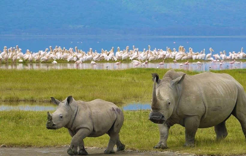 LAKE NAKURU NATIONAL PARK