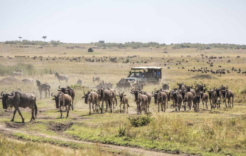 MASAI MARA NATIONAL RESERVE