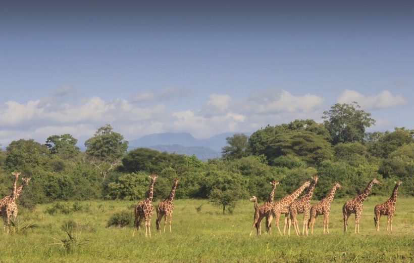 MERU NATIONAL PARK