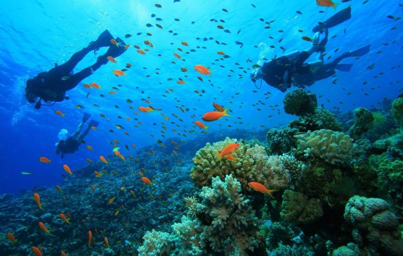 MOMBASA MARINE NATIONAL PARK