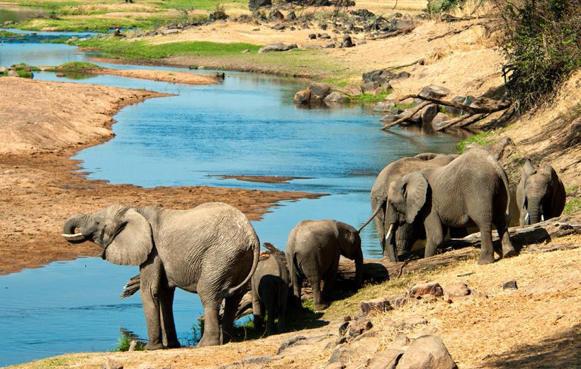 RUAHA NATIONAL PARK