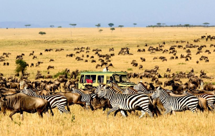 SERENGETI NATIONAL PARK