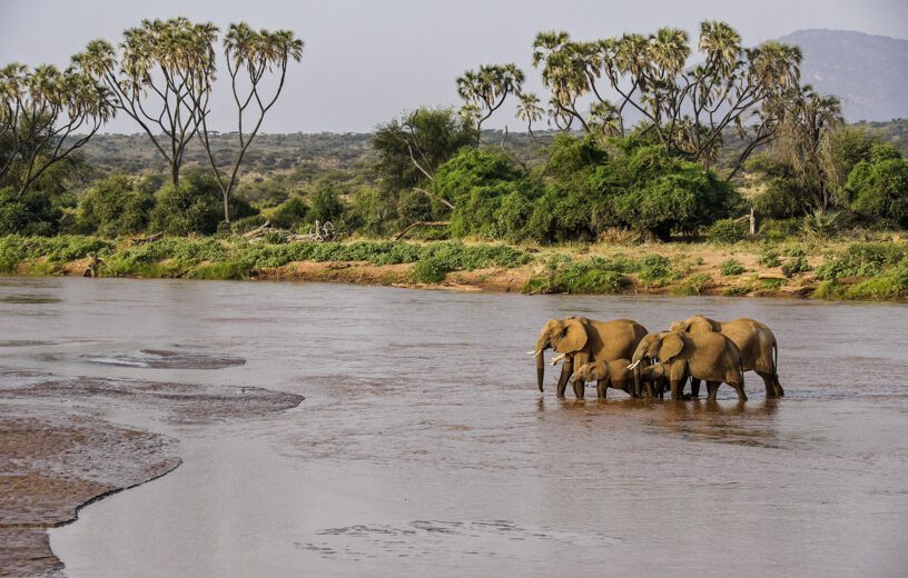 SHABA NATIONAL RESERVE